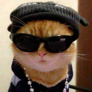 Meet your Posher, Leslie